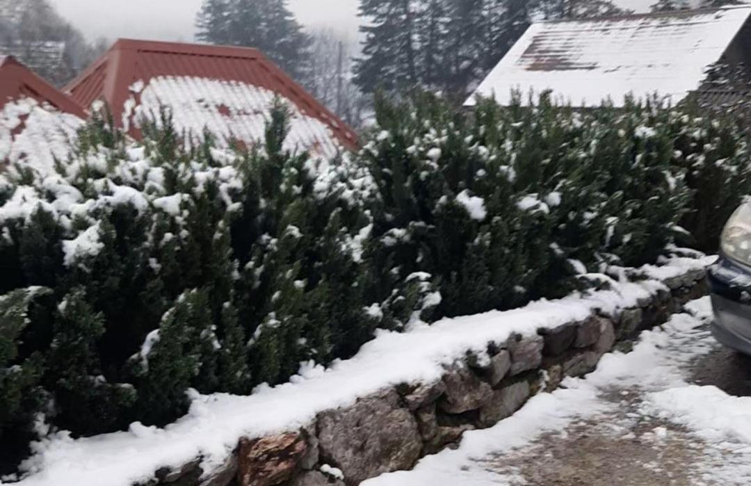 Apartman Bella Vita Kolašin Εξωτερικό φωτογραφία