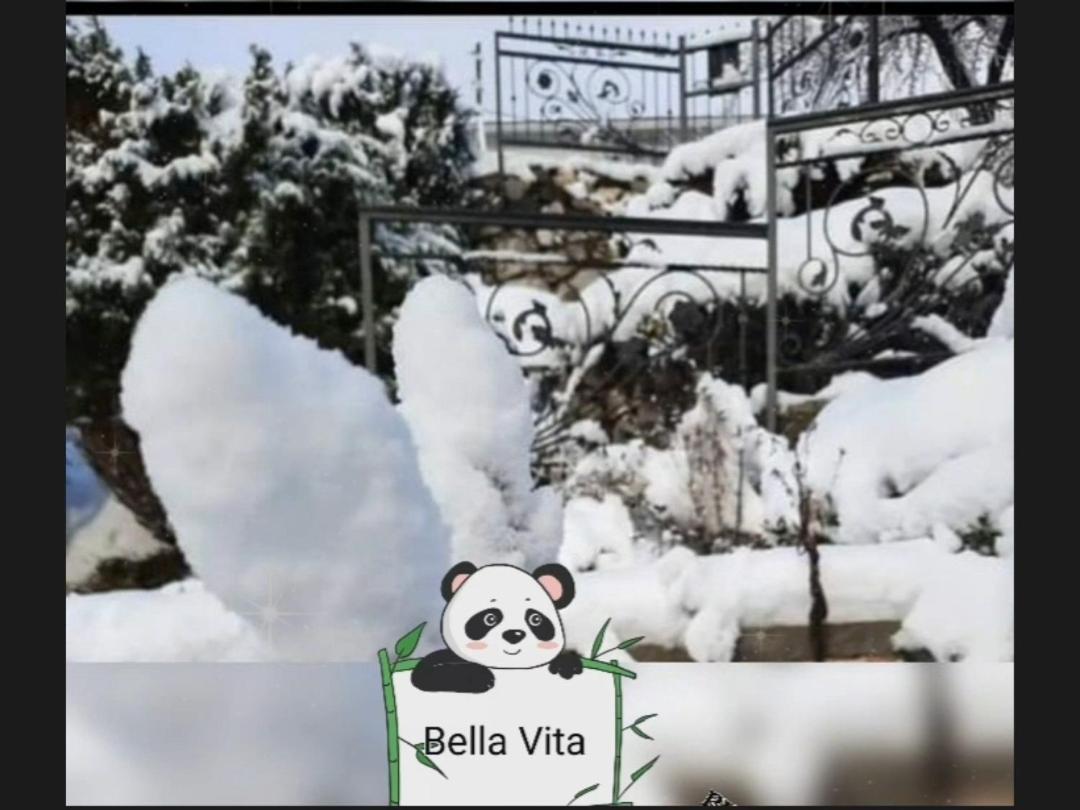 Apartman Bella Vita Kolašin Δωμάτιο φωτογραφία